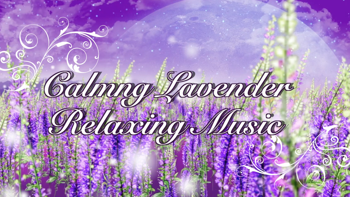 Relaxing Music– Calming Lavender 放鬆心情解壓、溫書和工作都適用的輕音樂 (copyrighted/受版權保護)