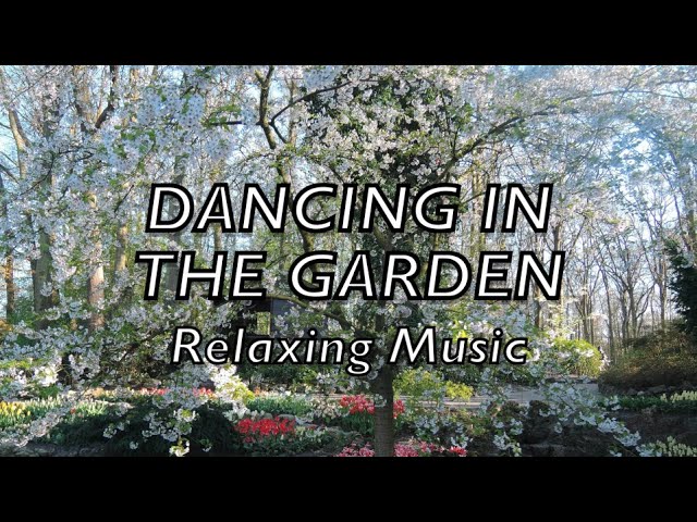 Relaxing Music/ Sleeping Music- Dancing in the Garden（Keukenhof Garden）