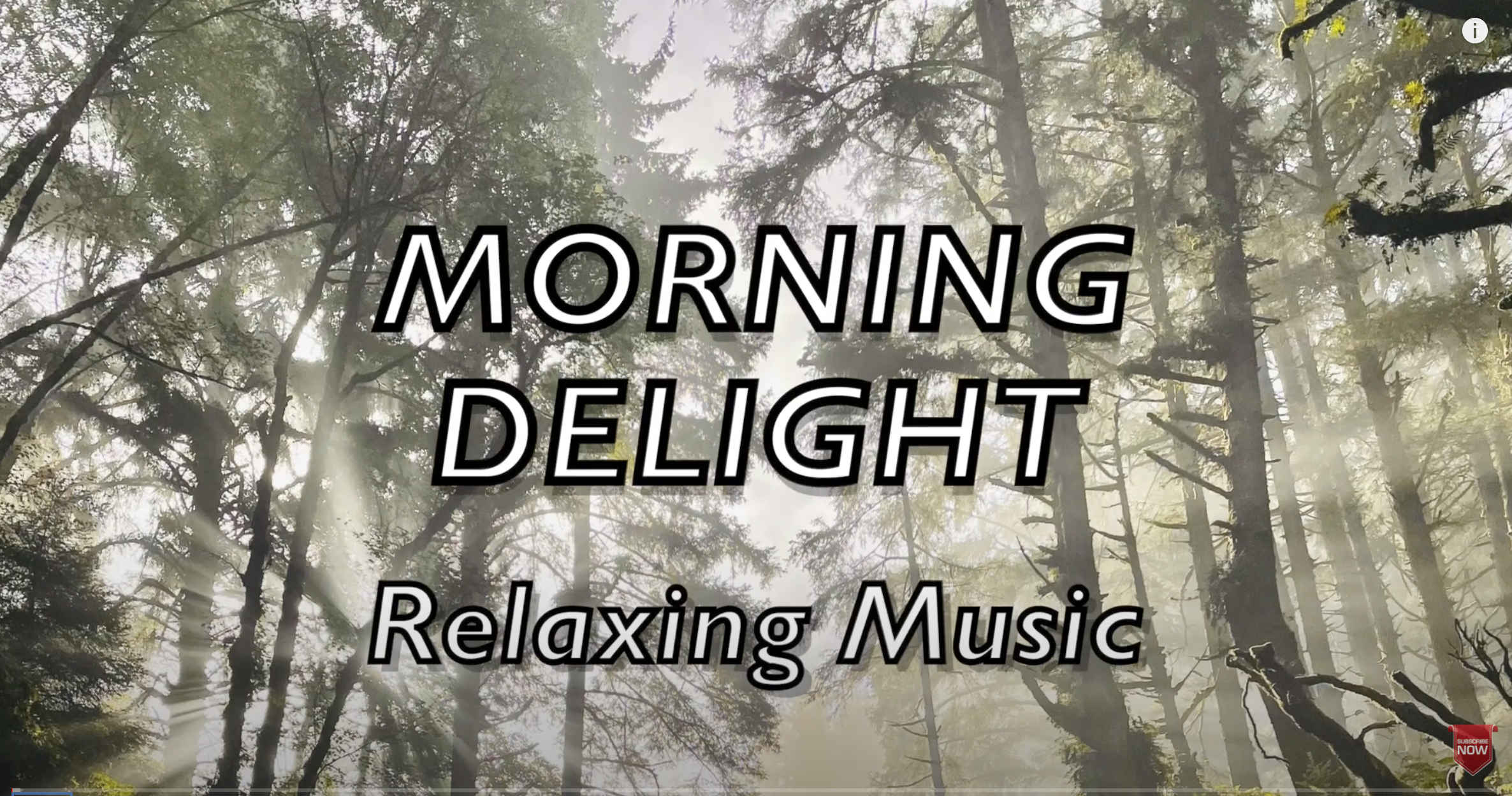 Relaxing Music/ Sleeping Music- Morning Delight 美麗早晨的喜悅–放鬆心情解壓、溫書和工作都適用的輕音樂 (copyrighted/受版權保護)